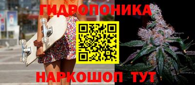 ешки Будённовск