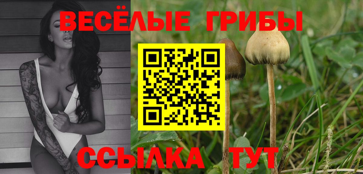 Псилоцибиновые грибы Psilocybine cubensis  Вход с VPN  Октябрьский 